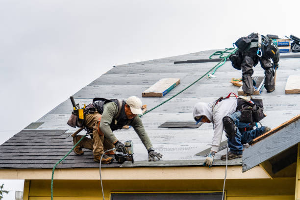 Professional Roofing technician working in Chrisman, IL
