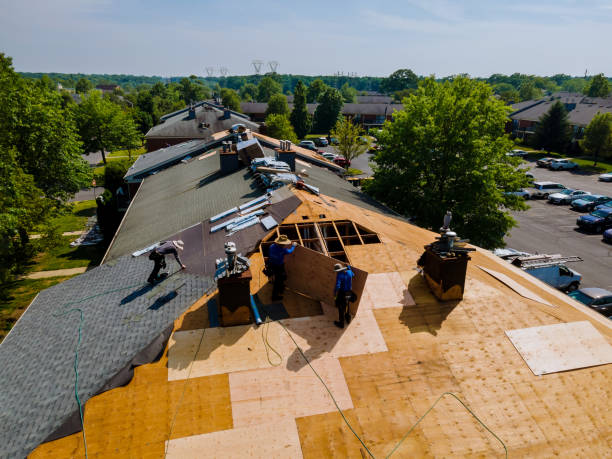 Trusted Roof Replacement service in Chrisman, IL - Brentwood Metal Roofing